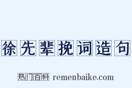 徐先辈挽词造句是什么意思的图片